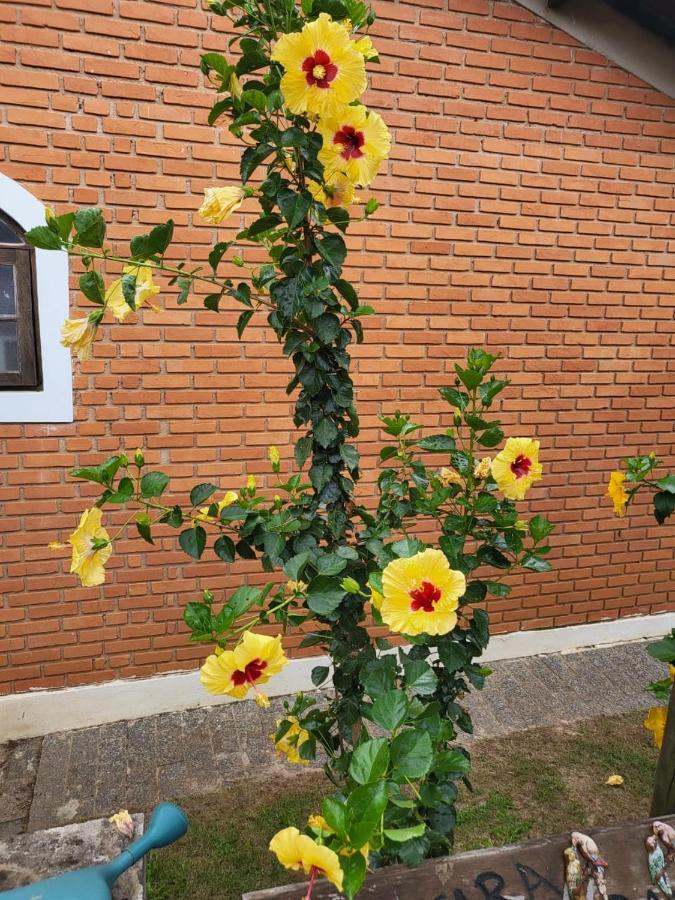 Pousada Terra Prometida Sao Pedro  Dış mekan fotoğraf
